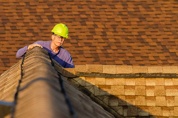 Best Roof Leak Repair  in Centuria, WI