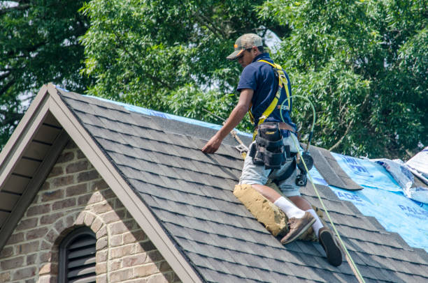 Best Shingle Roofing Installation  in Centuria, WI
